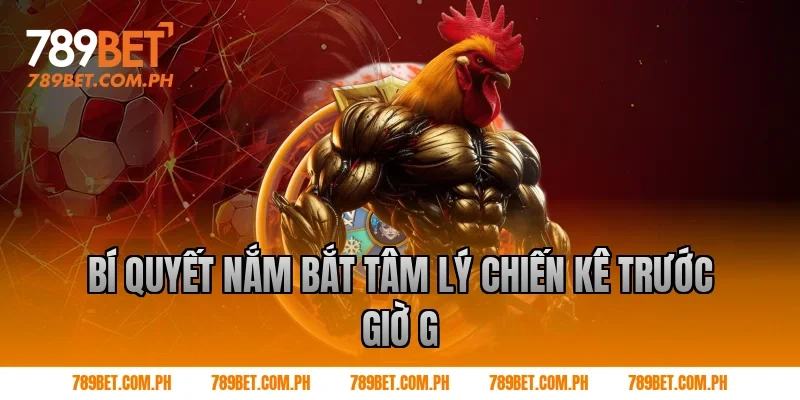 Bí Quyết Nắm Bắt Tâm Lý Chiến Kê Trước Giờ G
