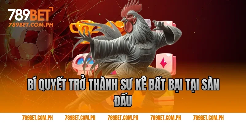 Bí Quyết Trở Thành Sư Kê Bất Bại Tại Sàn Đấu