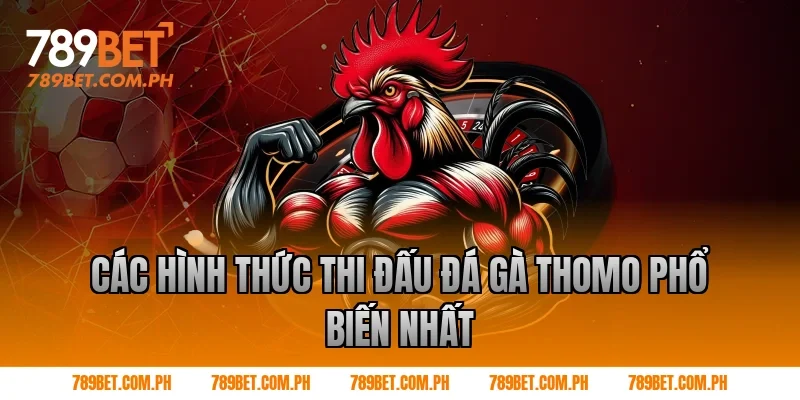 Các hình thức thi đấu đá gà thomo phổ biến nhất