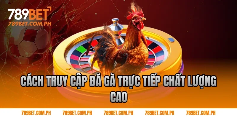 Cách truy cập đá gà trực tiếp chất lượng cao