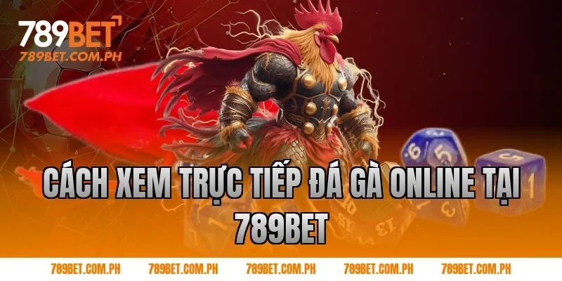 Cách xem trực tiếp đá gà online tại 789BET