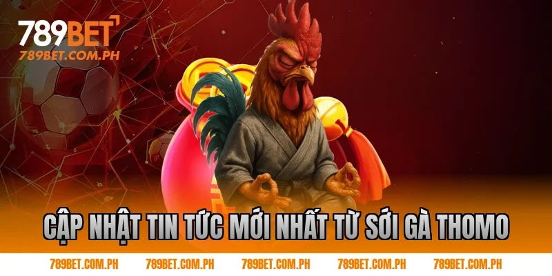 Cập Nhật Tin Tức Mới Nhất Từ Sới Gà Thomo