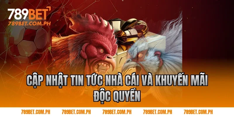 Cập nhật tin tức nhà cái và khuyến mãi độc quyền