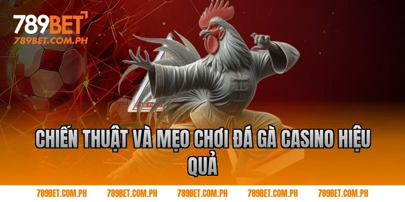 Chiến thuật và mẹo chơi đá gà casino hiệu quả