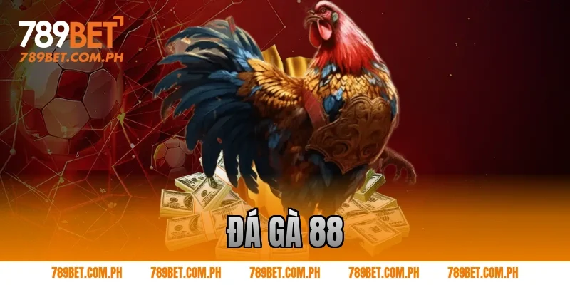 đá gà 88