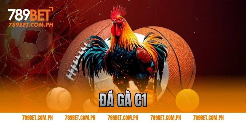 đá gà c1