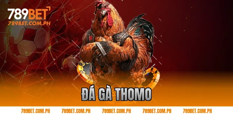 đá gà thomo