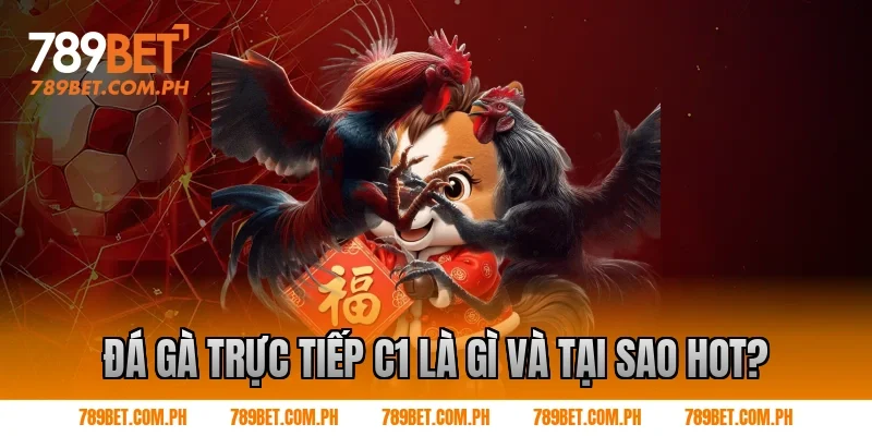 Đá gà trực tiếp c1 là gì và tại sao hot?