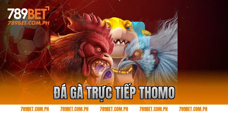 đá gà trực tiếp thomo