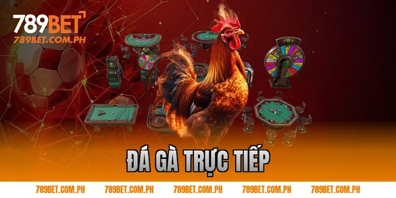 đá gà trực tiếp