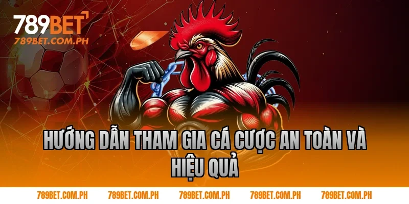 Hướng Dẫn Tham Gia Cá Cược An Toàn Và Hiệu Quả