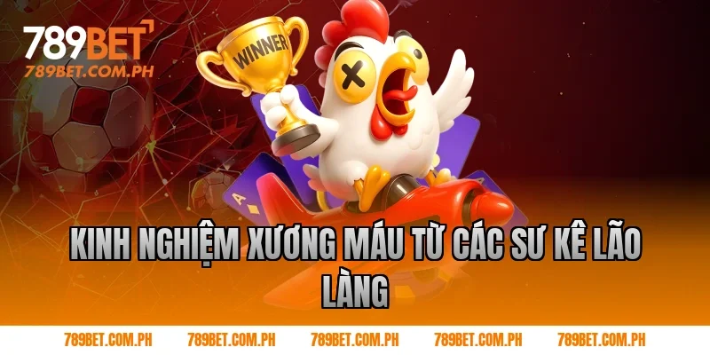 Kinh nghiệm xương máu từ các sư kê lão làng