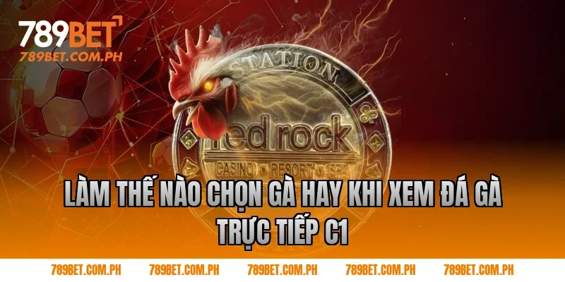 Làm thế nào chọn gà hay khi xem đá gà trực tiếp c1