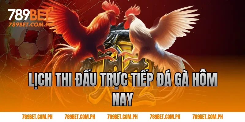 Lịch thi đấu trực tiếp đá gà hôm nay
