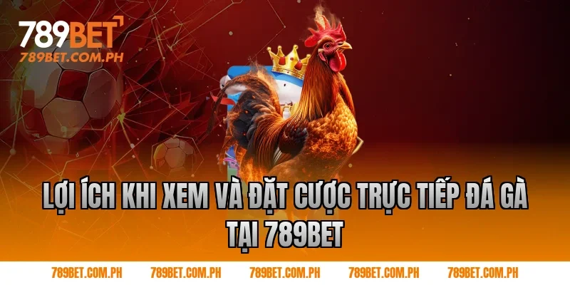 Lợi ích khi xem và đặt cược trực tiếp đá gà tại 789BET