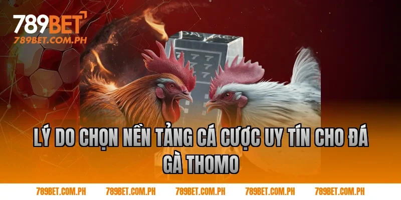 Lý do chọn nền tảng cá cược uy tín cho đá gà Thomo