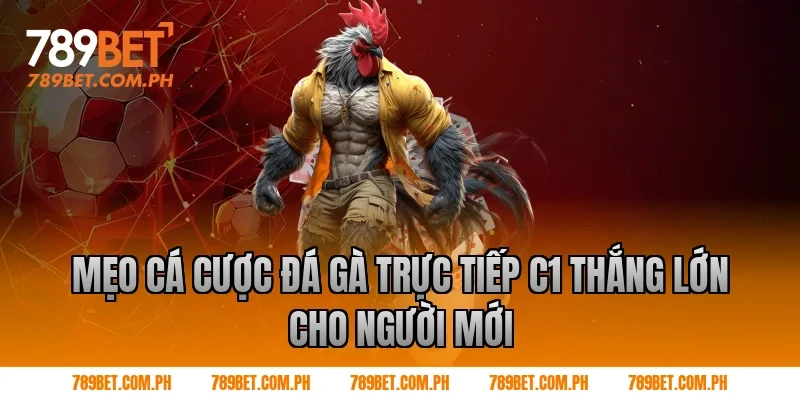 Mẹo cá cược đá gà trực tiếp c1 thắng lớn cho người mới