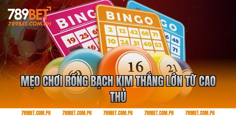 Mẹo chơi rồng bạch kim thắng lớn từ cao thủ