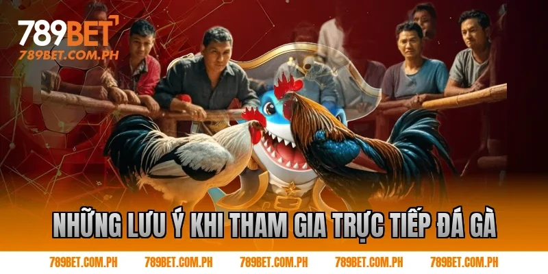 Những lưu ý khi tham gia trực tiếp đá gà