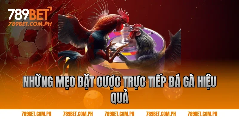 Những mẹo đặt cược trực tiếp đá gà hiệu quả