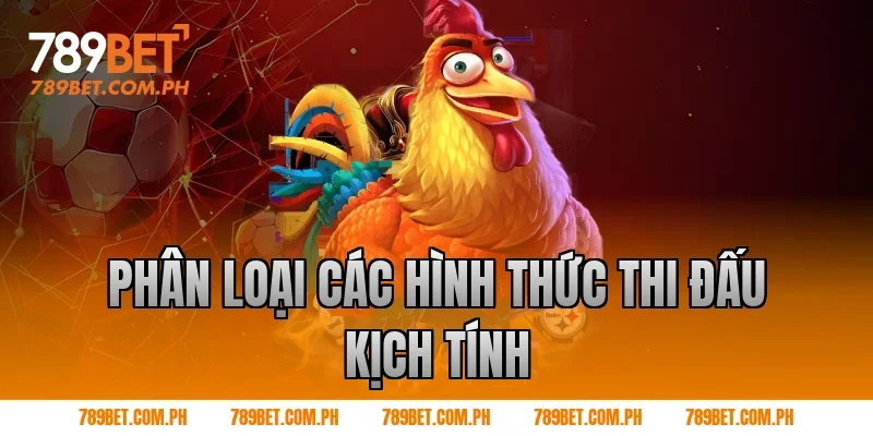 Phân Loại Các Hình Thức Thi Đấu Kịch Tính