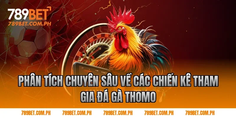 Phân tích chuyên sâu về các chiến kê tham gia đá gà thomo