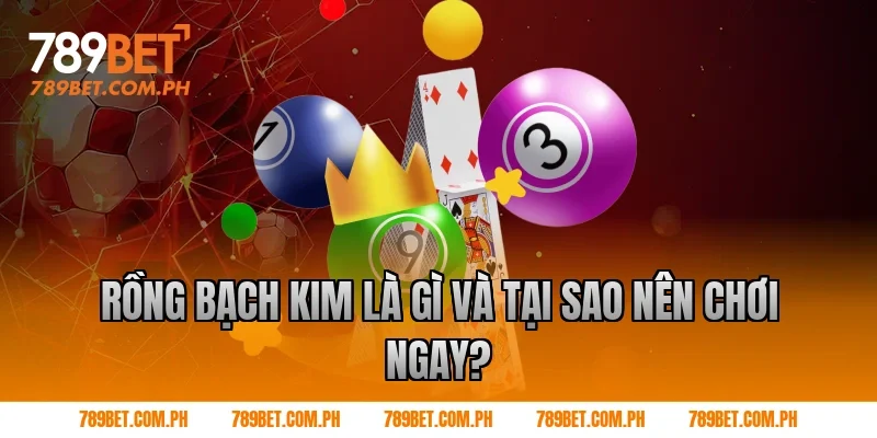 Rồng bạch kim là gì và tại sao nên chơi ngay?