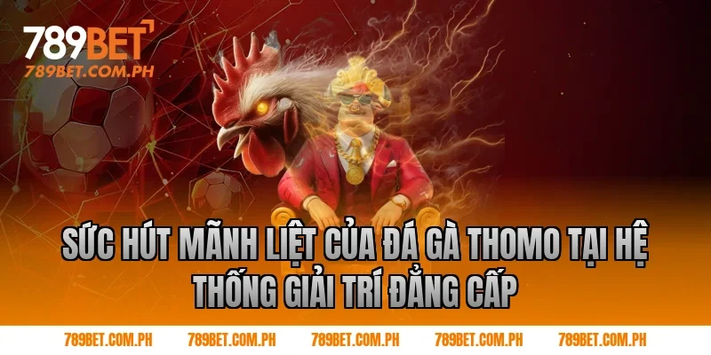 Sức hút mãnh liệt của đá gà thomo tại hệ thống giải trí đẳng cấp