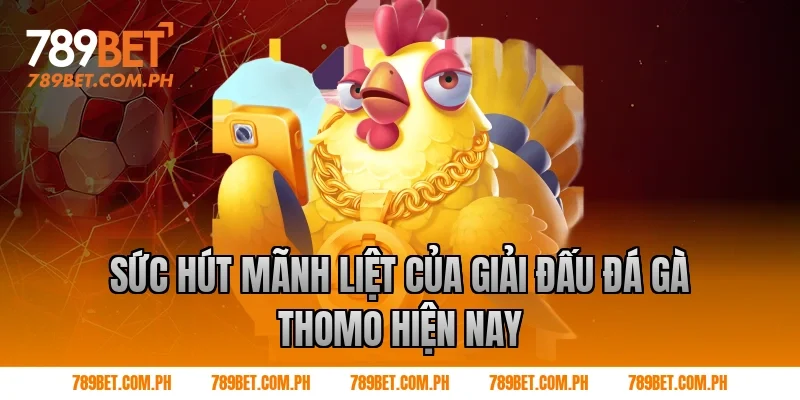 Sức Hút Mãnh Liệt Của Giải Đấu Đá Gà Thomo Hiện Nay