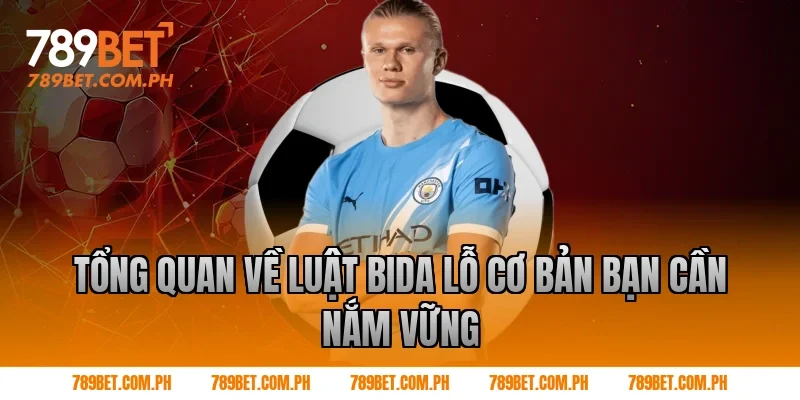 Tổng quan về luật bida lỗ cơ bản bạn cần nắm vững