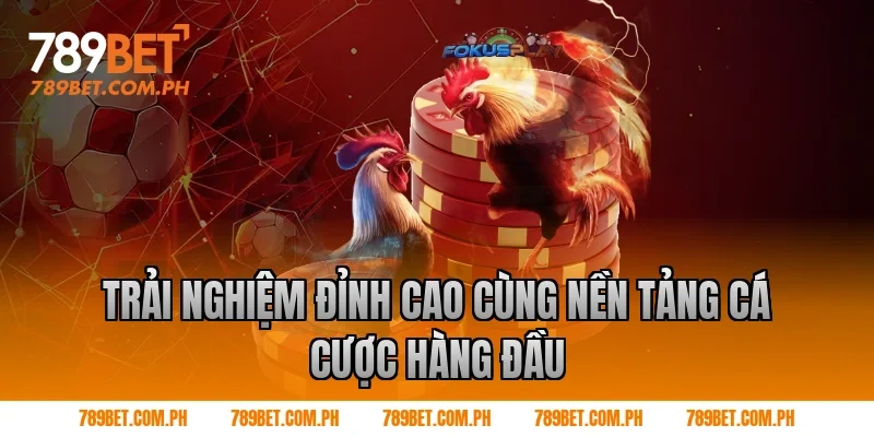 Trải nghiệm đỉnh cao cùng nền tảng cá cược hàng đầu