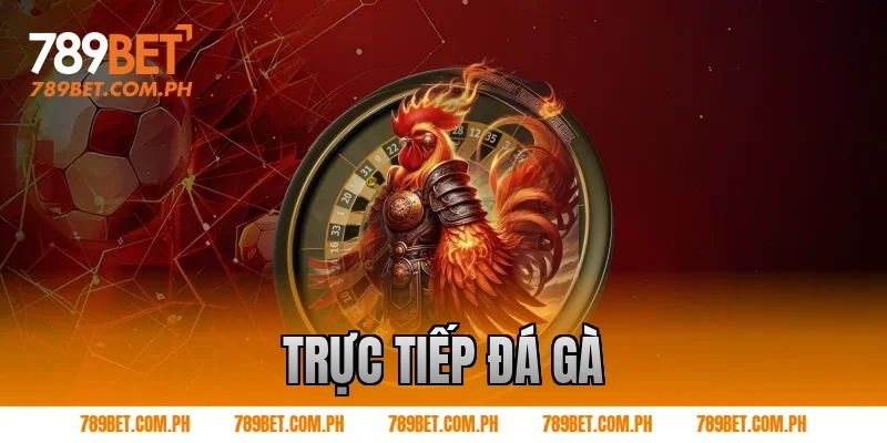 trực tiếp đá gà