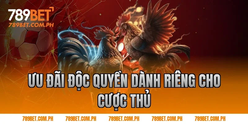 Ưu Đãi Độc Quyền Dành Riêng Cho Cược Thủ